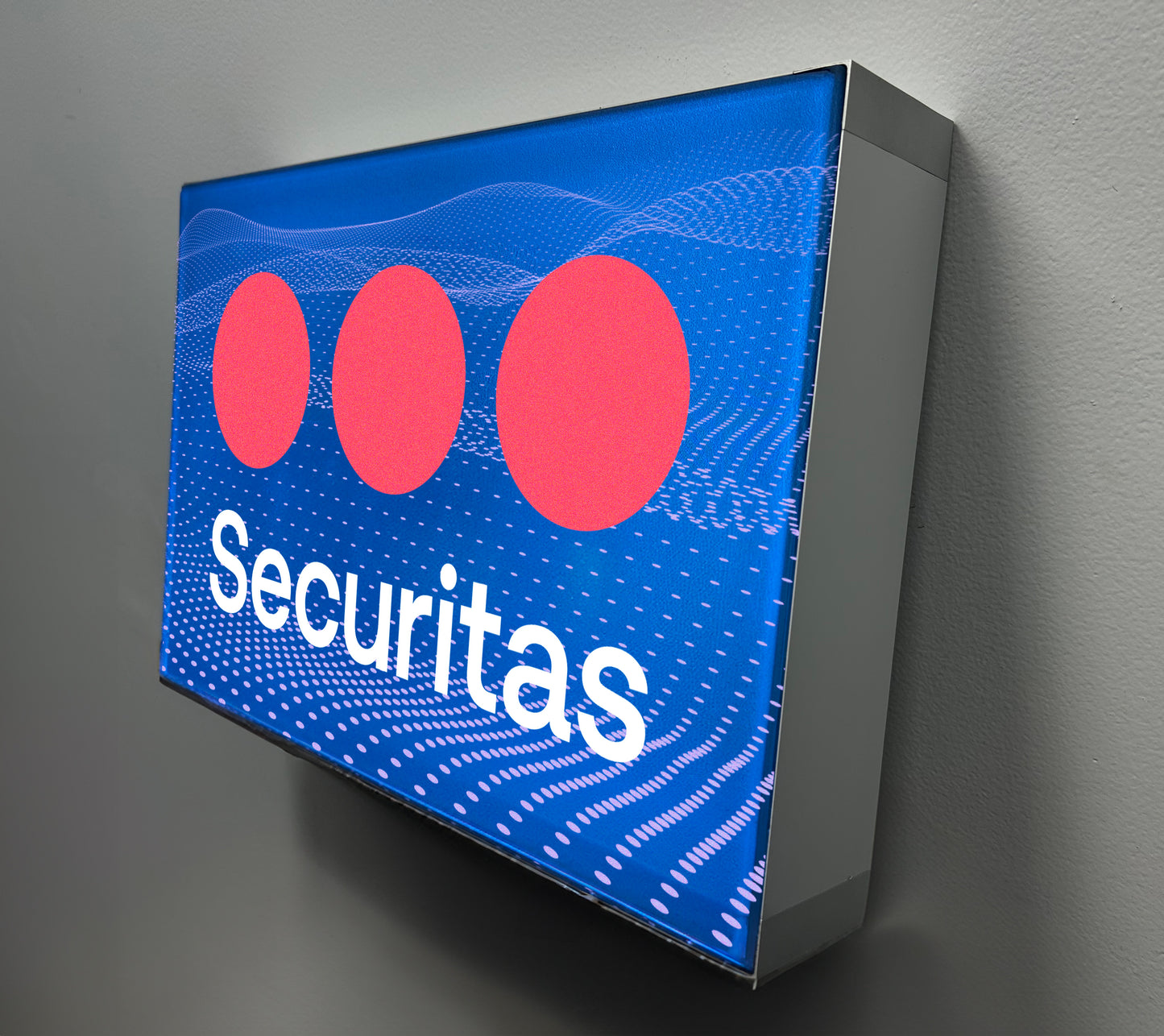 SEG Glo Display