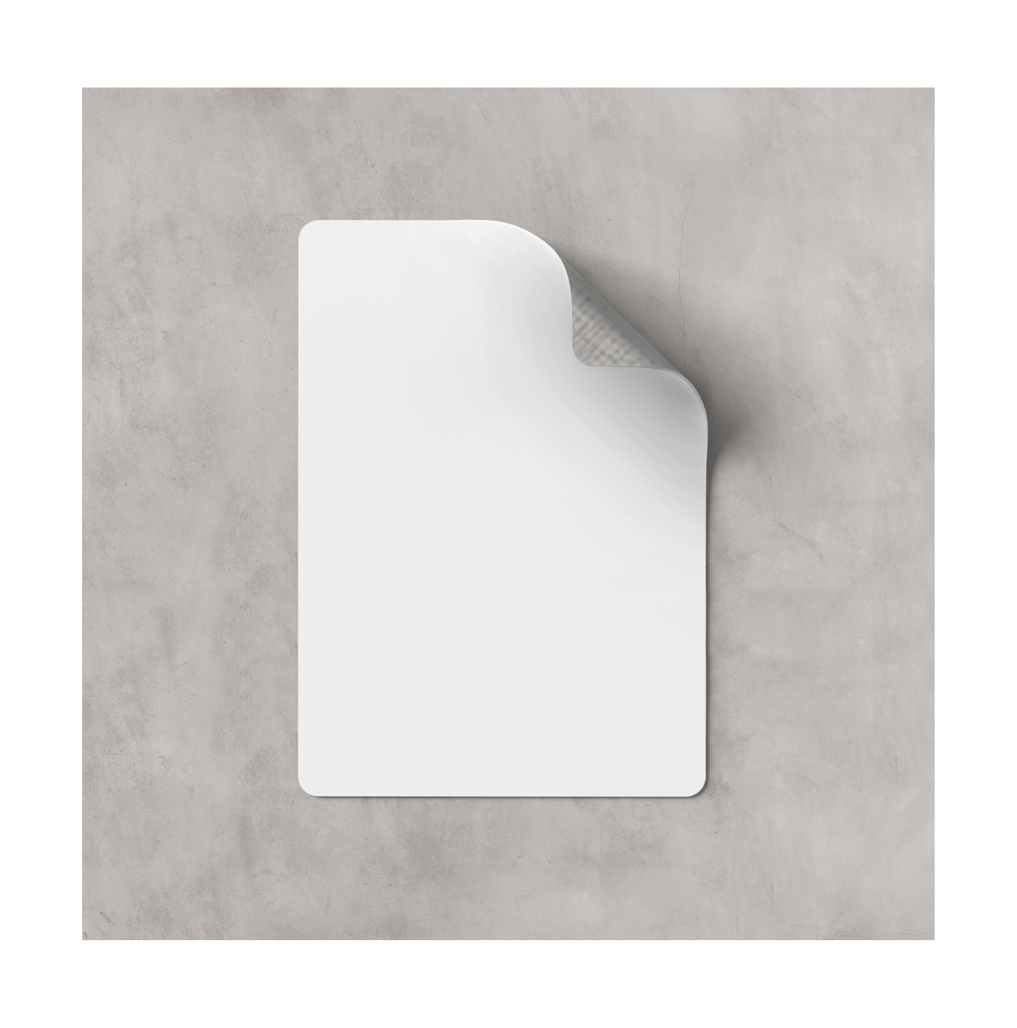 Logo Decals (Die-Cut)